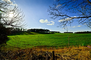 green fields photo HD wallpaper