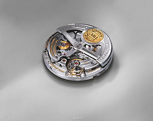 round silver-colored coin, watch, luxury watches, IWC