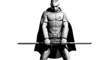 Robin gray scale illustration