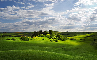 landscape photography of green grass field HD wallpaper