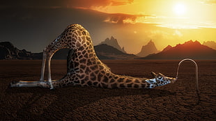 brown and black giraffe, animals, humor, digital art, giraffes HD wallpaper