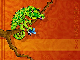 green chameleon holding blue winged insect wallpaper