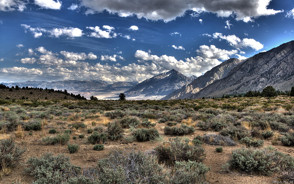 Desert,  Vegetation,  Mountains,  Clouds HD wallpaper
