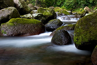 rocks with moss and river with fog