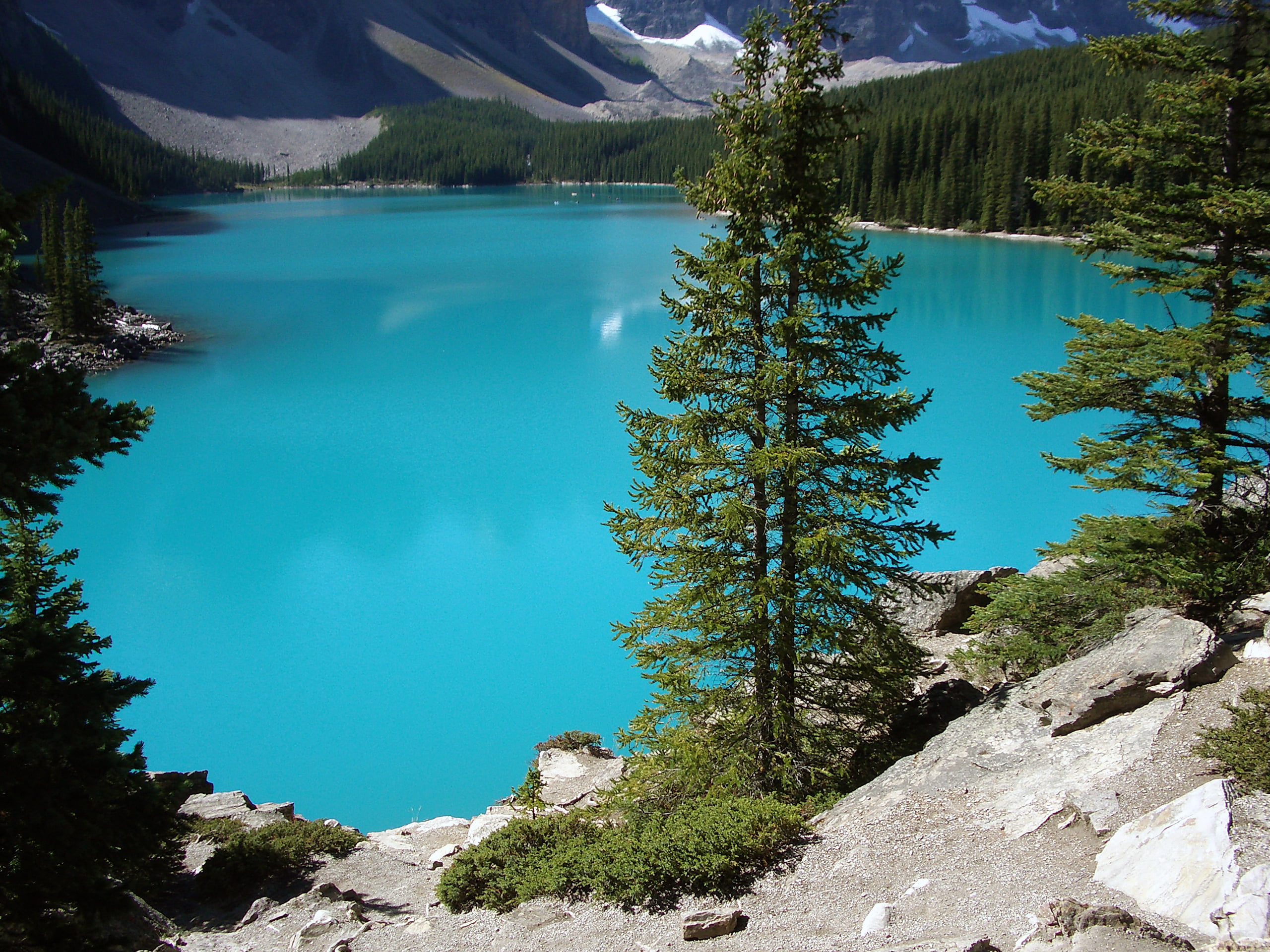 Озер находится на территории канады. Ледниковое озеро Морейн, Канада. Озеро Morein. Голубое озеро Канада. Морейн (Канада). Самое красивое озеро в мире.