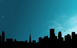 silhouette photography of city during night time