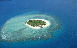 top view of island, island, sea