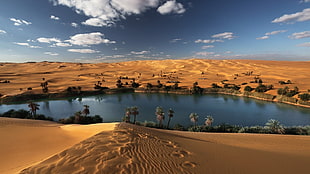 dunes and body of water, landscape, oases, desert HD wallpaper