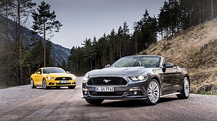 black and yellow Ford Mustangs coupe, Ford Mustang, car, Convertible