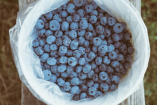 sack of blueberries, Blueberry, Berries, Package HD wallpaper