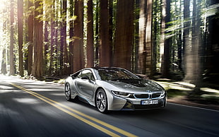 silver BMW coupe, BMW, BMW i8, road, trees