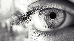 grayscale photo of human eye