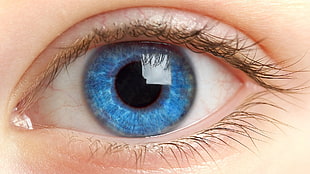 woman's blue eye