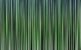 green and black textile