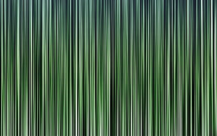green and black textile