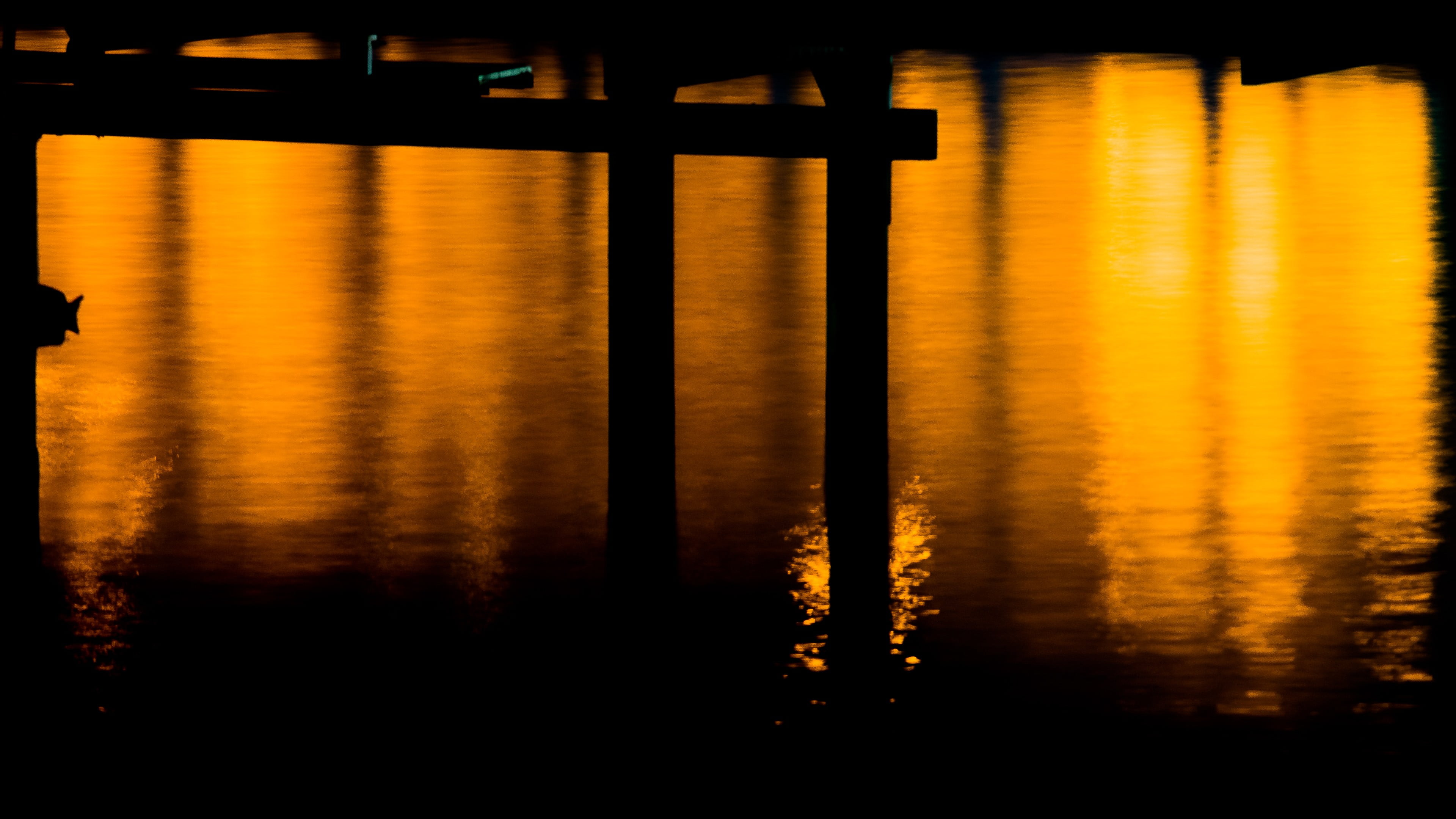 lake, pier, nature