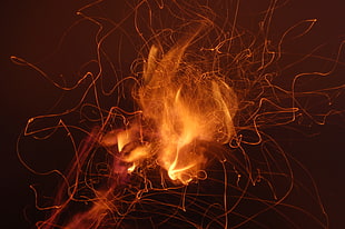 white and brown short coated dog, fire, abstract, dark