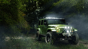 green Jeep Wrangler Unlimited on green grass between trees