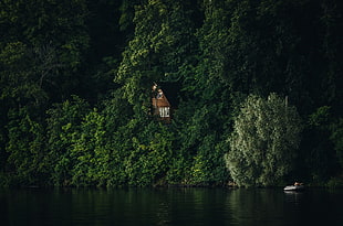 photo of brown house covered with bushes near body of water