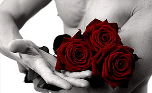 grayscale photo of topless man holding three red roses
