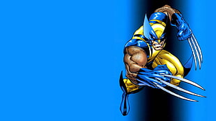 Wolverine from X-Men illustration, Wolverine