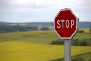 Stop signage
