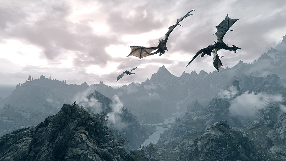 illustration of three flying dragons HD wallpaper