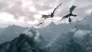 illustration of three flying dragons