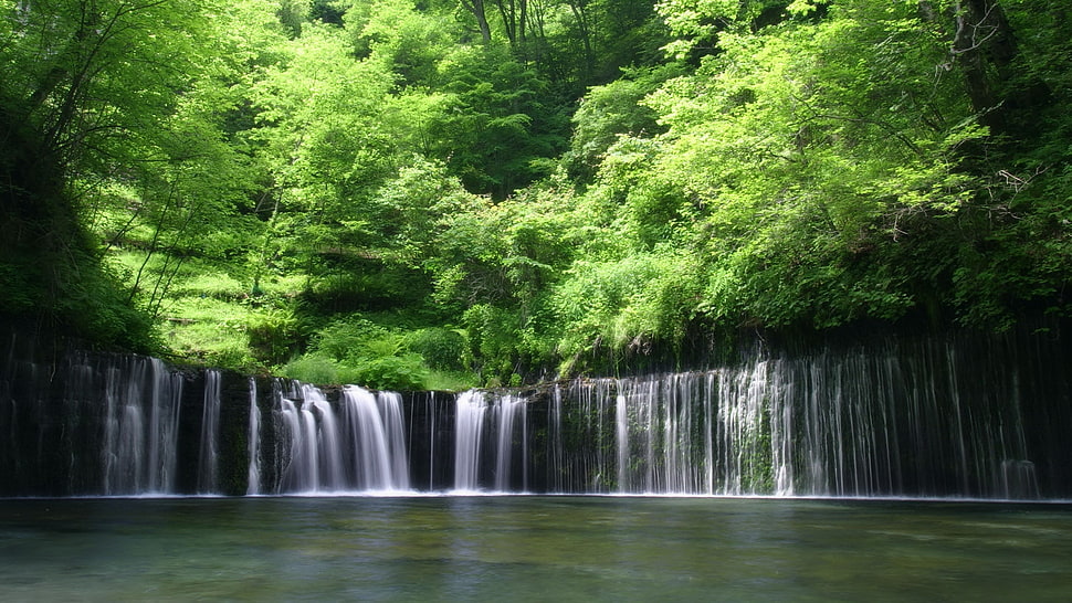 timelapse photography of waterfalls in the middle of trees at daytime HD wallpaper