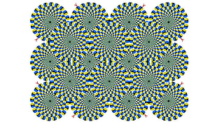 green and blue optical illusion