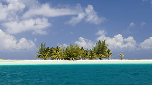 green trees on white sand island