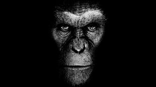 grayscale photo of ape, Planet of the Apes, movies, artwork, science fiction HD wallpaper