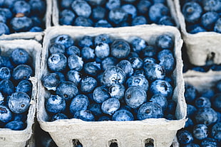 blueberry on baskets HD wallpaper