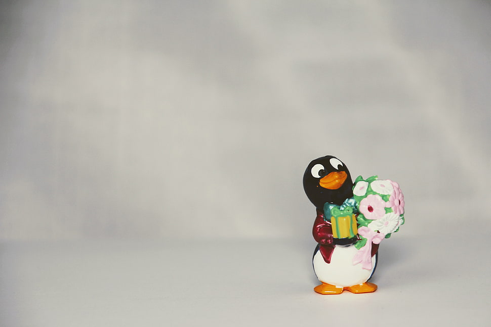 penguin holding gift box and flower ceramic figurine HD wallpaper