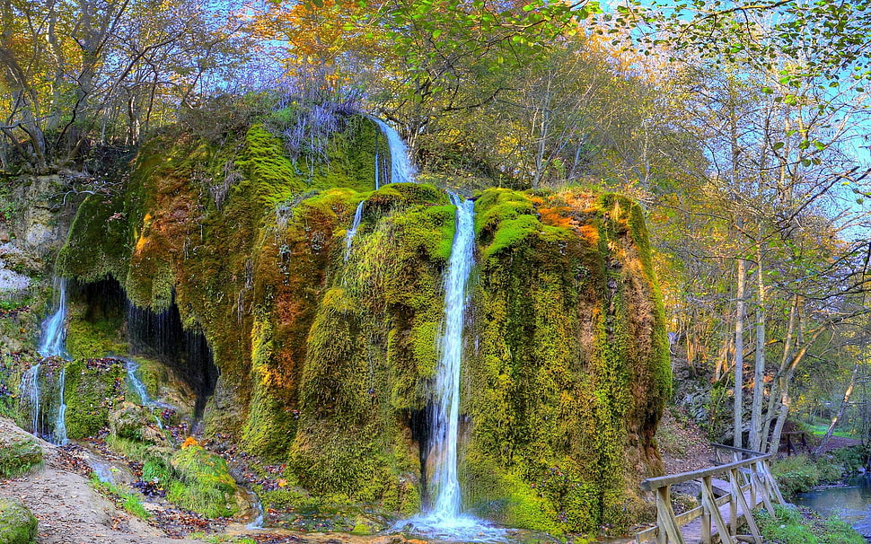 falls surrounded of algae during day time HD wallpaper