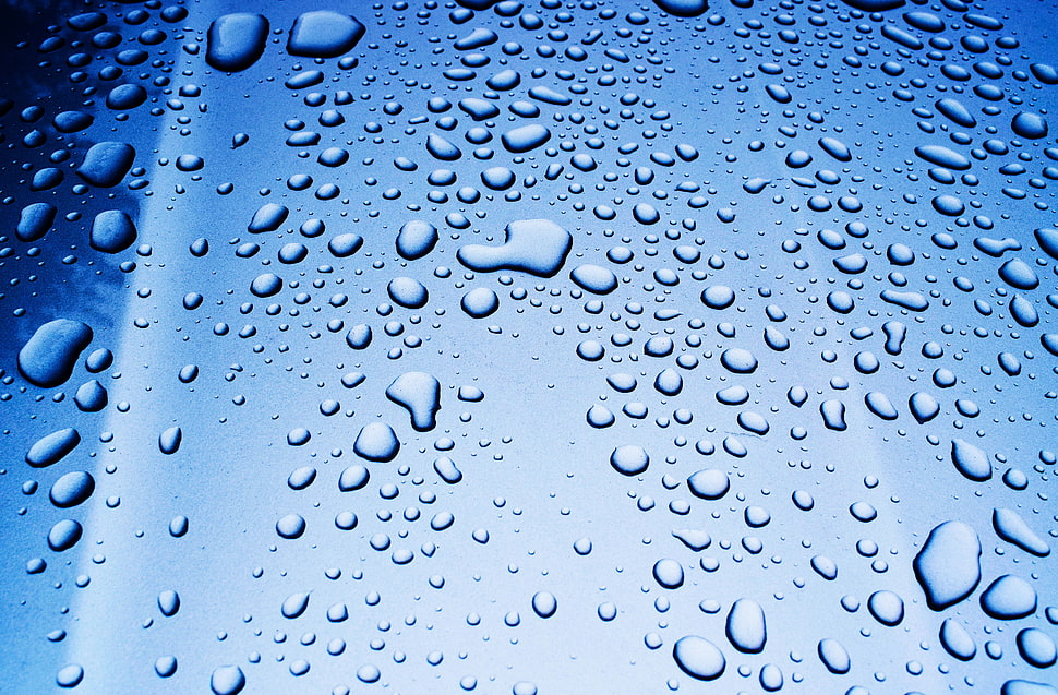 dew drop, Drops, Glass, Surface HD wallpaper