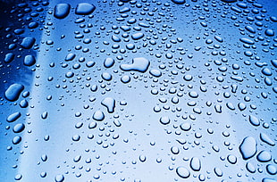 dew drop, Drops, Glass, Surface