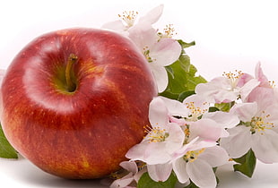 red apple beside white and pink flowers