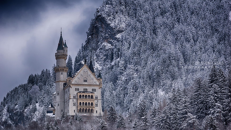 gray and blue castle, nature, landscape, winter, snow HD wallpaper
