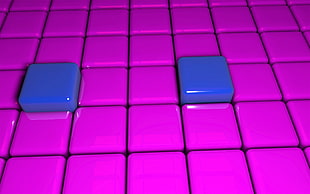 plastic cubes