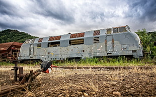 gray train, train, vehicle, abandoned