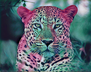 leopard painting, animals, big cats, colorful