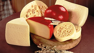 cheese, food, cheese, wheat HD wallpaper