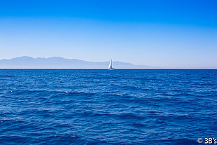 white sail boat on the sea sailing during daytime