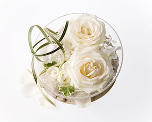 photo of white rose flower in clear glass bowl