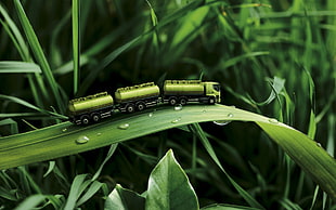 macro photography of green train on green grass