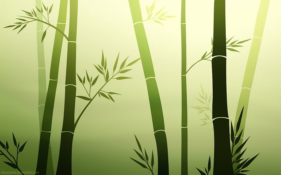 white and green wooden wardrobe, bamboo, green, vector, simple background HD wallpaper