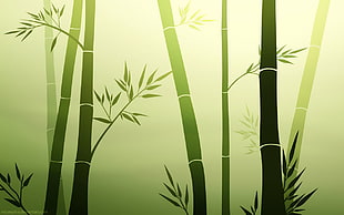 white and green wooden wardrobe, bamboo, green, vector, simple background HD wallpaper
