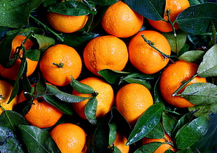 orange fruits, Tangerines, Drops, Leaves
