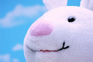 white rabbit plush toy close-up photo HD wallpaper